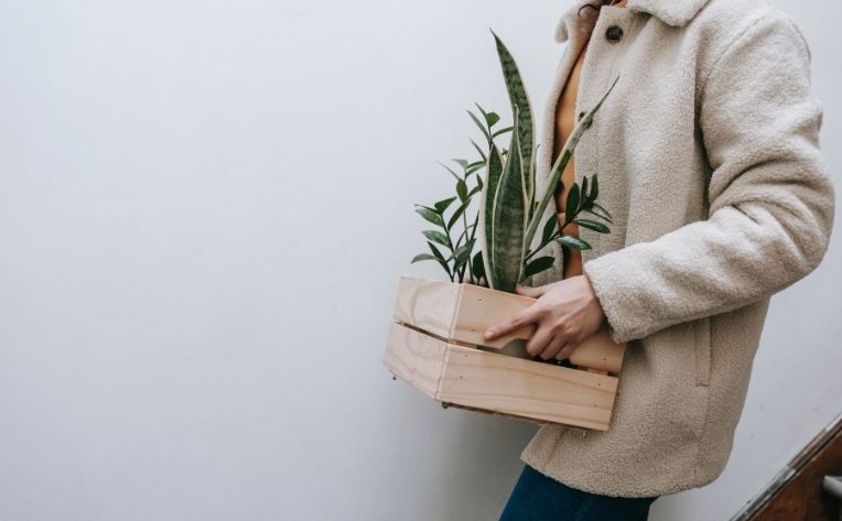 man holding wooden plant dolly